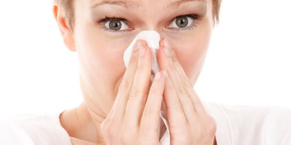 Managing Hay Fever and Asthma