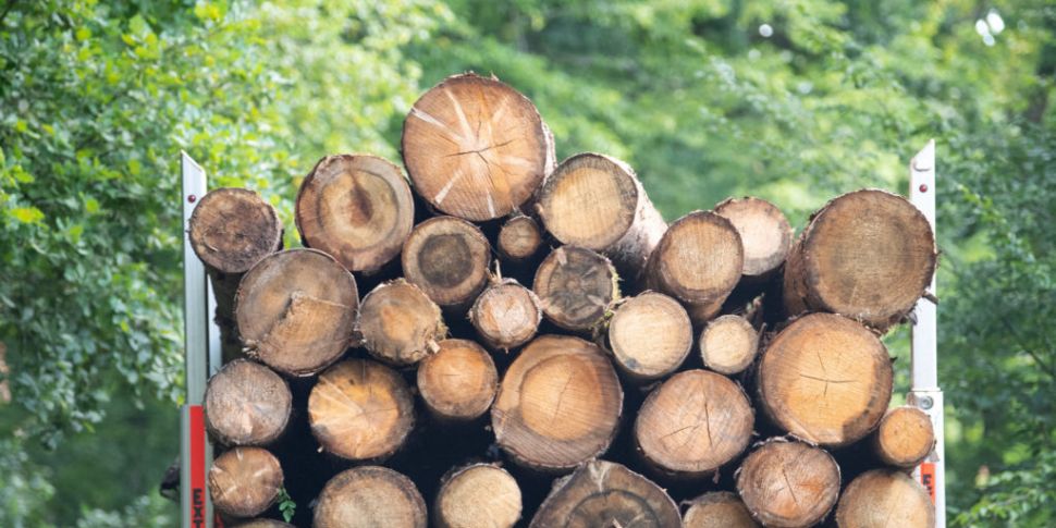 Timber Shortages And The Effec...
