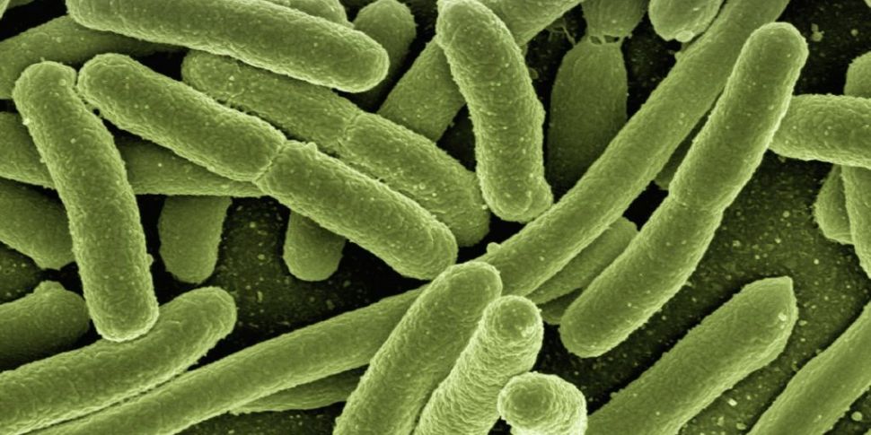 Bringing Bacteria Back To Life
