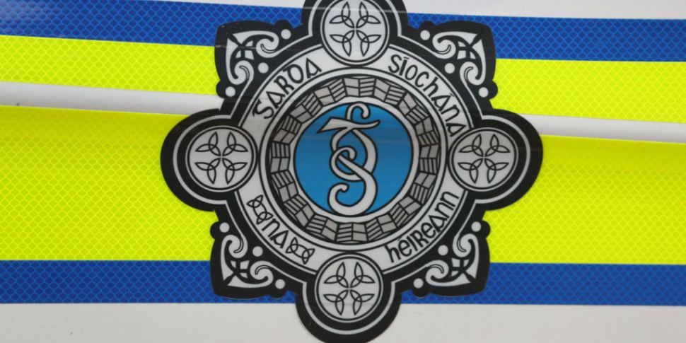 Eight Gardaí suspended over cl...