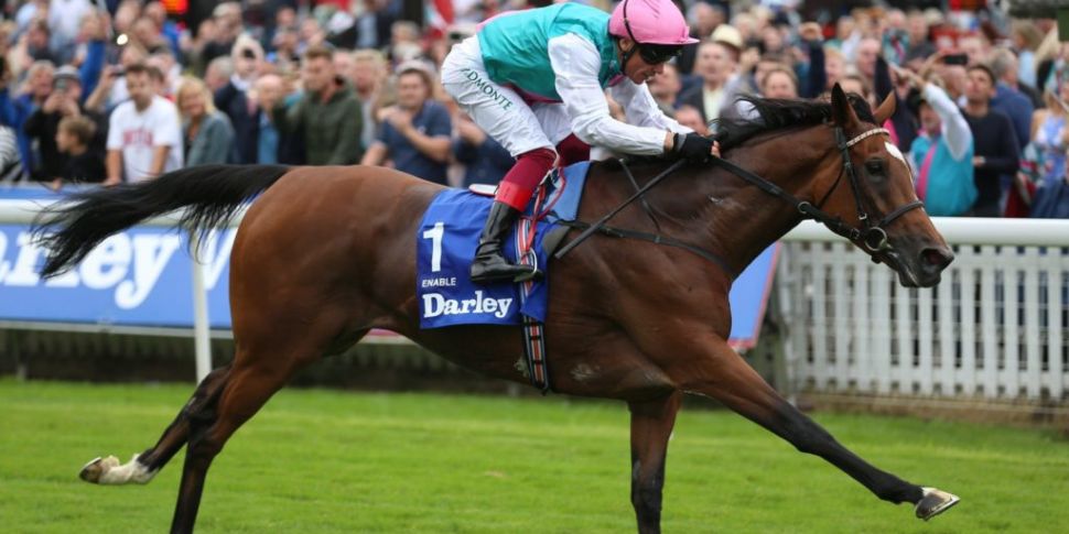 Record breaking horse Enable h...
