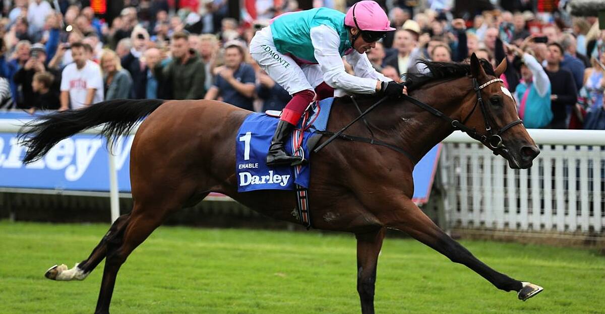 Breaking horses