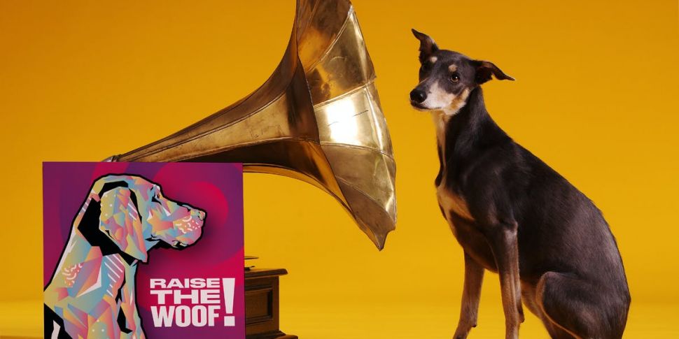 'Raise the Woof': The first ev...