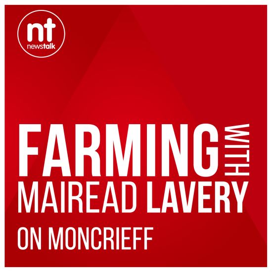 Farming with Mairead Lavery