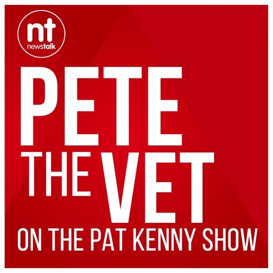 Pete the Vet