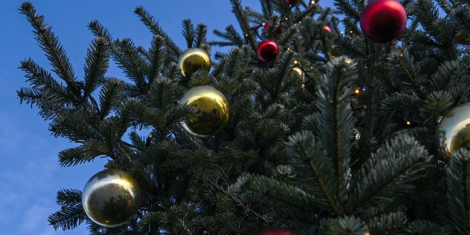 Caring For Your Christmas Tree...