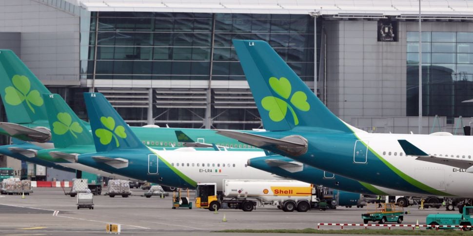 Government to fly Irish people...