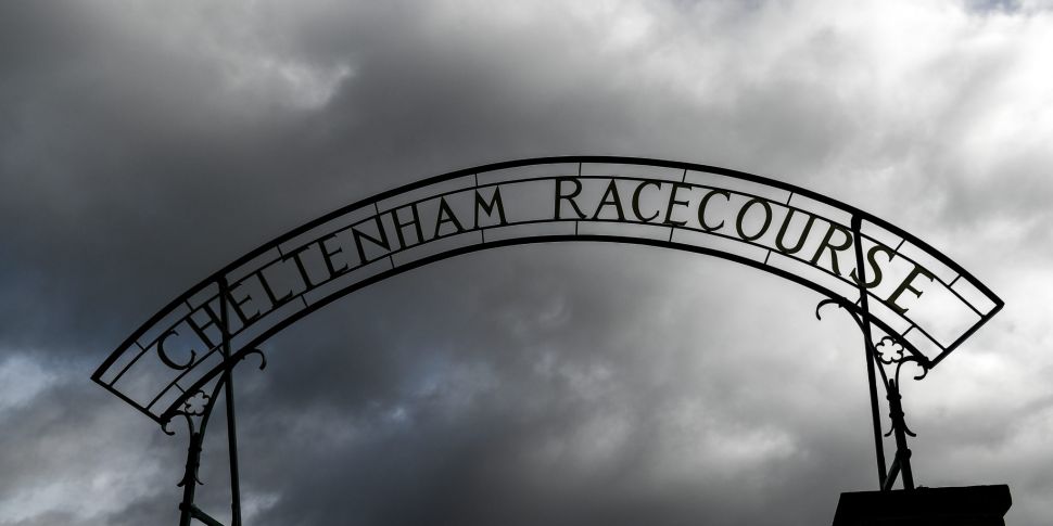 Cheltenham organisers resigned...