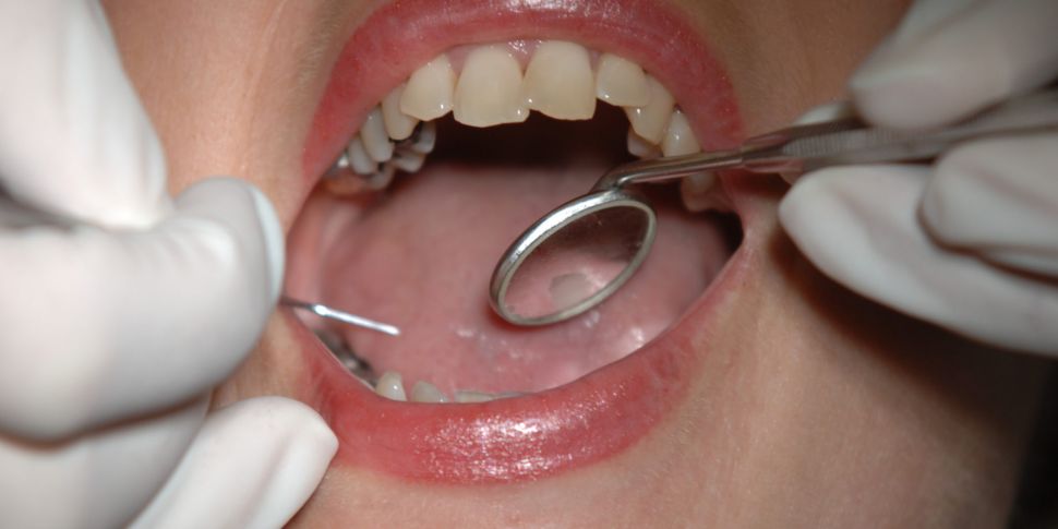 Kildare dentist says he 'can't...