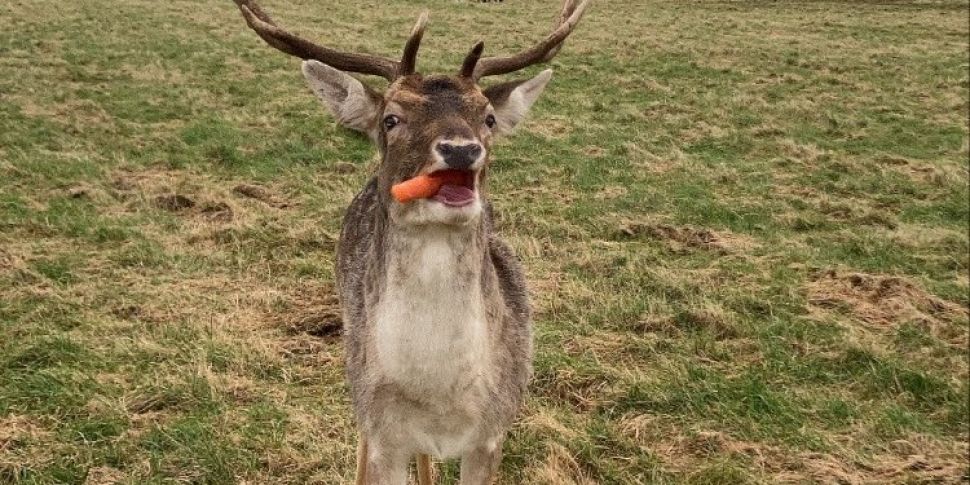 'No selfies with Rudolph': vis...