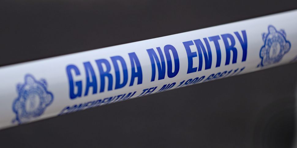 Gardaí investigate petrol bomb...