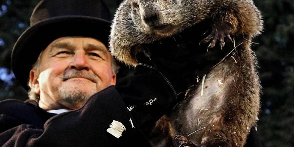 Today is Groundhog Day!