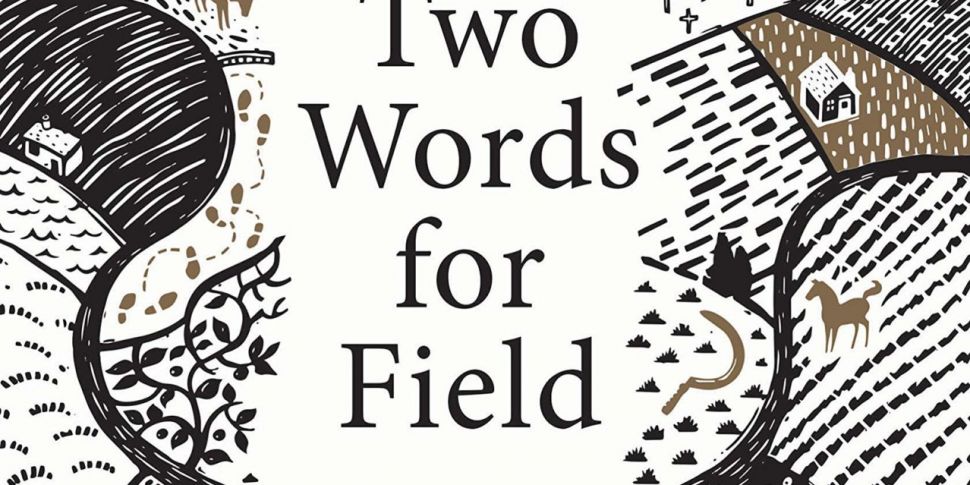 Thirty-Two Words for Field: Lo...