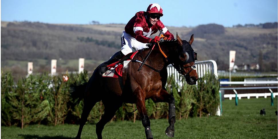 Tiger Roll will miss the Irish...