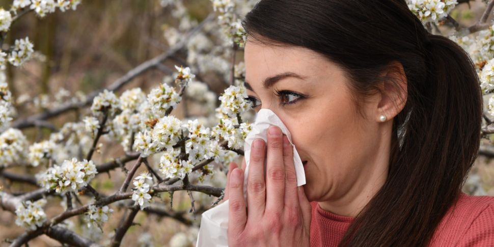Hay fever can be mistaken for...
