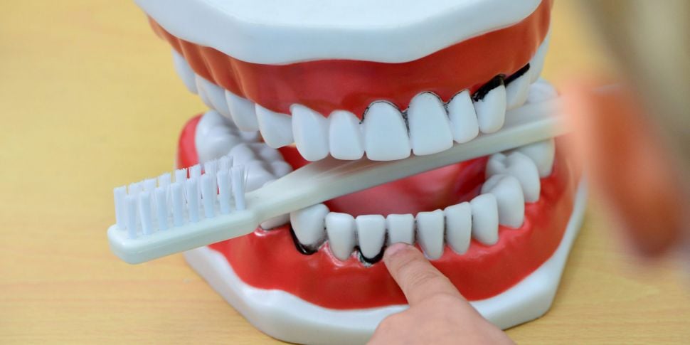 Ask The Expert: Dental Care