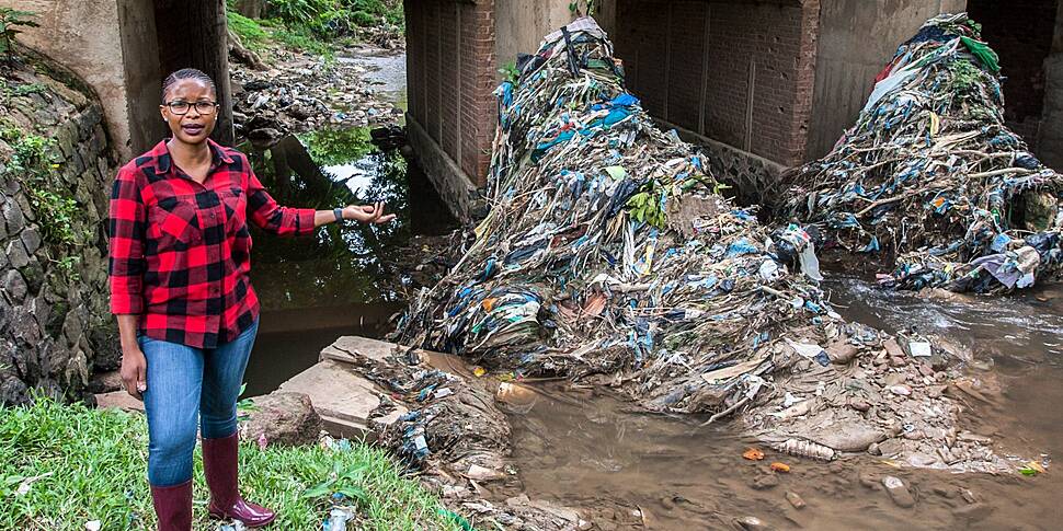 Green Scene: Award-winning env...