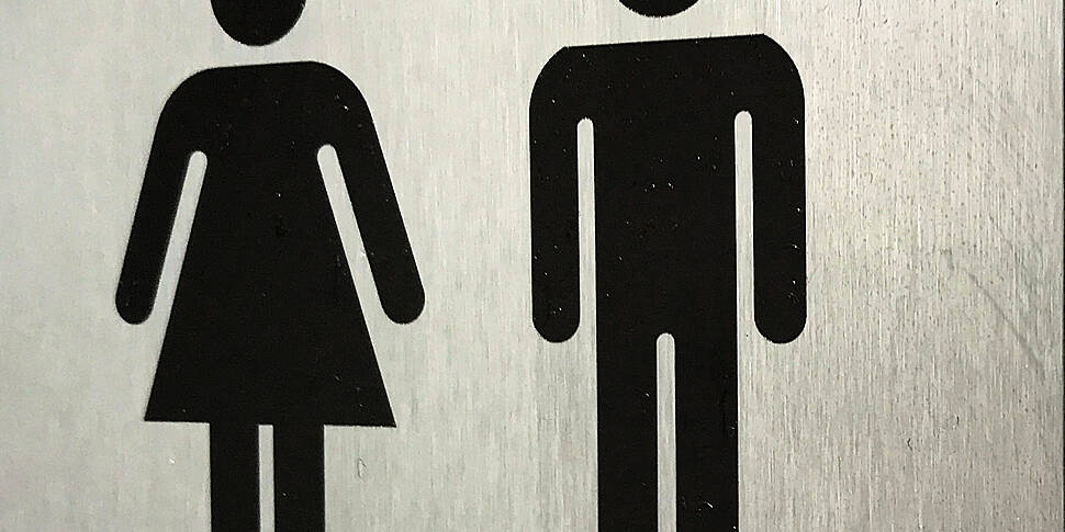 "The toilets in Pearse st...