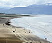 COVID cases surge in Ireland's...
