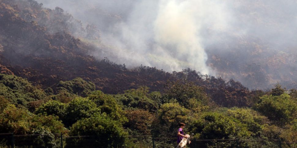 An Update On The Gorse Fires O...