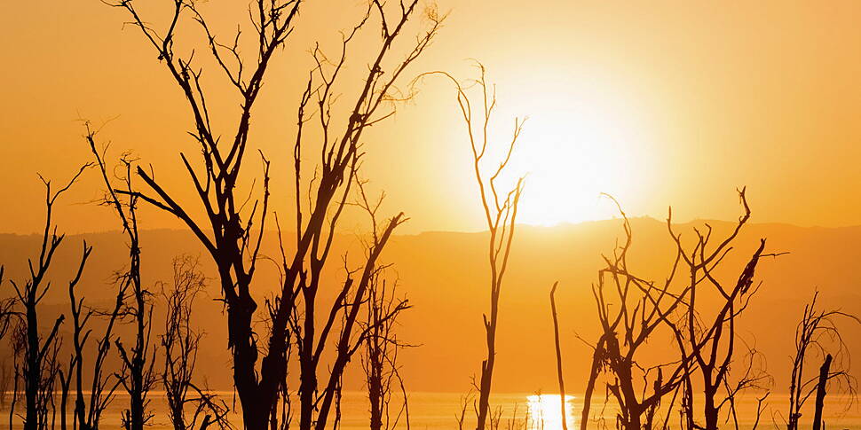 Green Scene: Is The Extreme We...