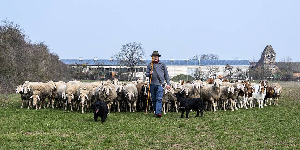 Farming: Are the farmers happy...