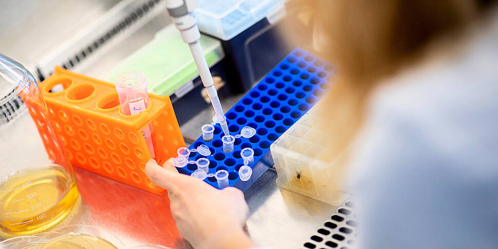 Coronavirus: 1,154 new cases i...