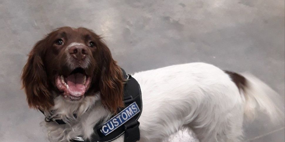 Revenue dogs sniff out €12.3m...