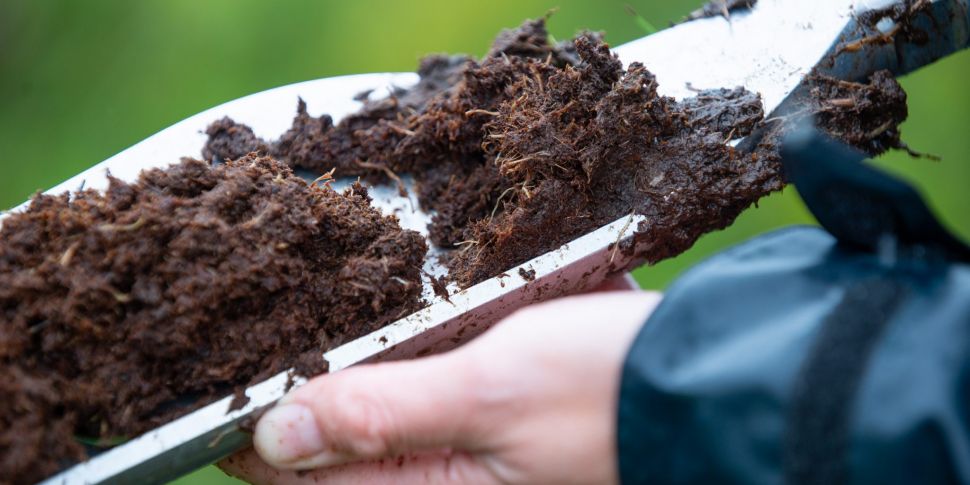Is it time to ban peat?...