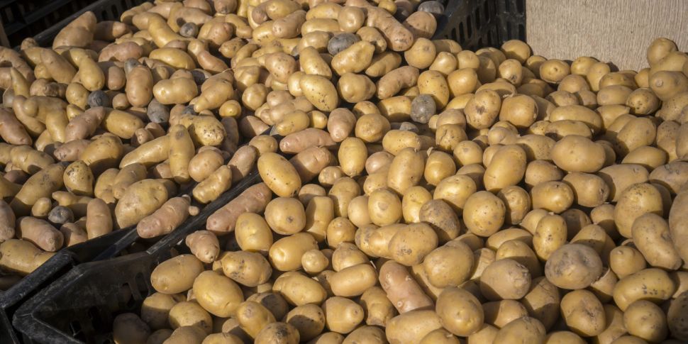 Farming: It's National Spud Da...