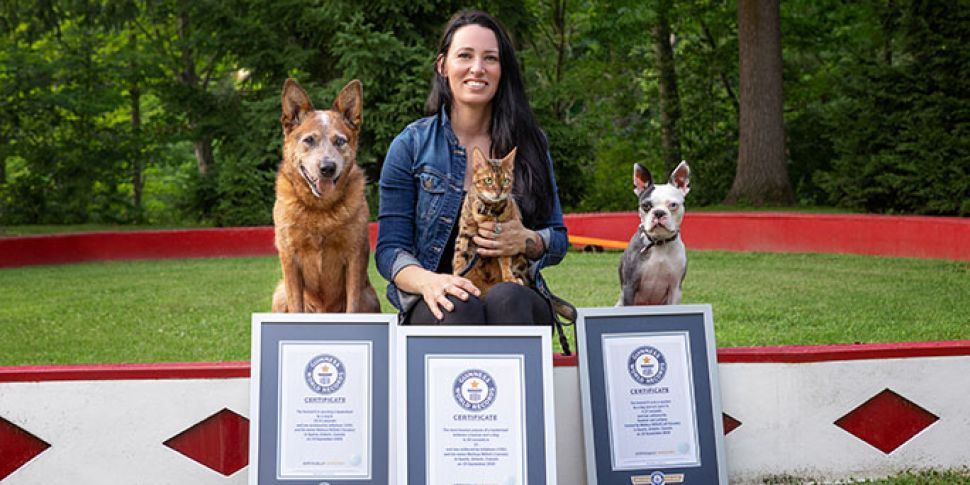 My Guinness World Record Pets