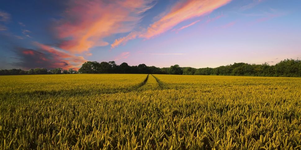 Farming: The icey weather brin...