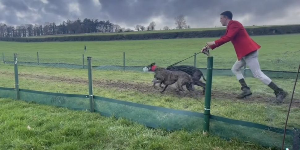 The National Coursing Meeting...