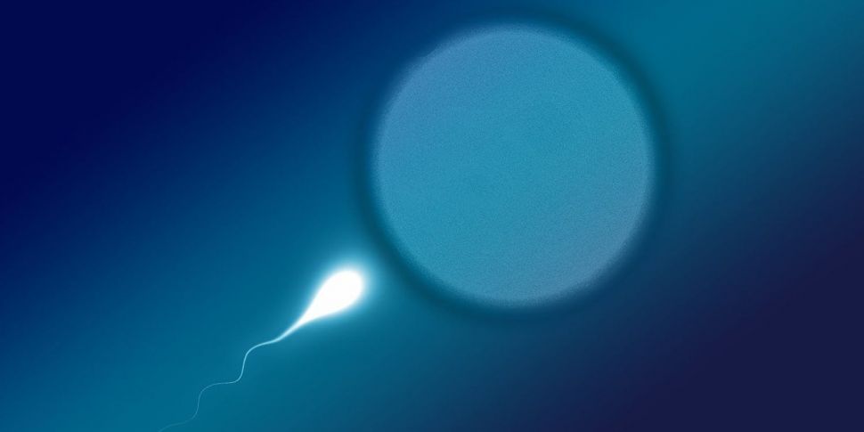 NeoMimix: The New Sperm Select...