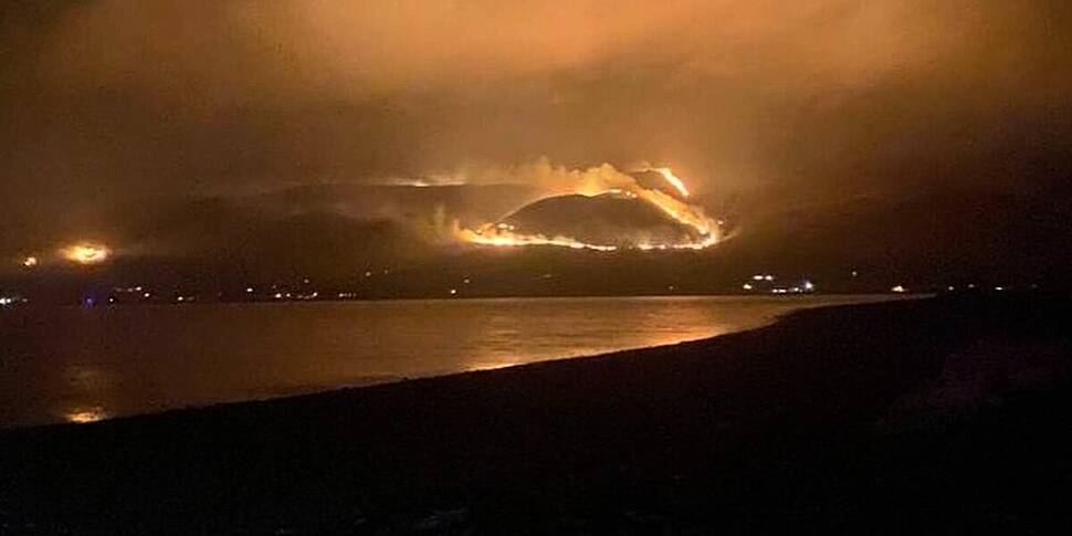 Gorse fires cause 'huge destru...