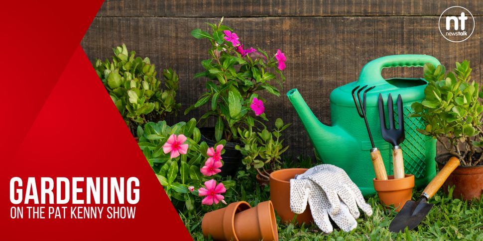 Gardening: Planting hanging ba...