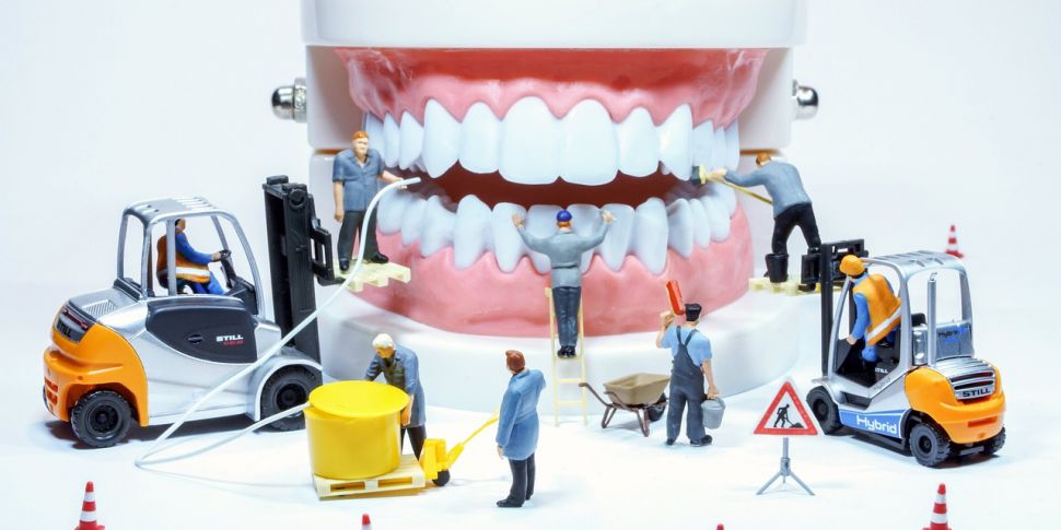 Industry Review: Dentists