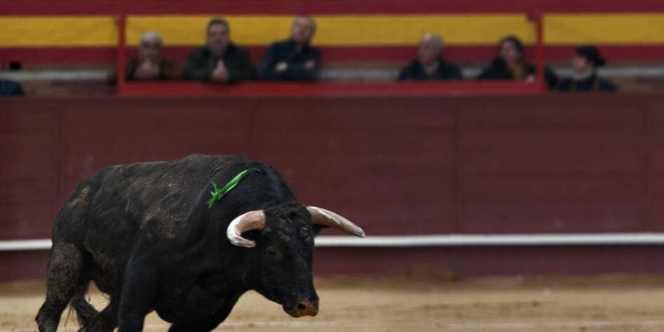 Banning the funding of bulls