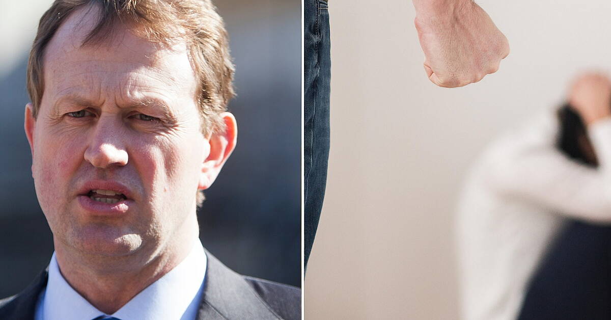 Domestic Violence Registry would help protect women in relationships, TD says - Vimarsana News
