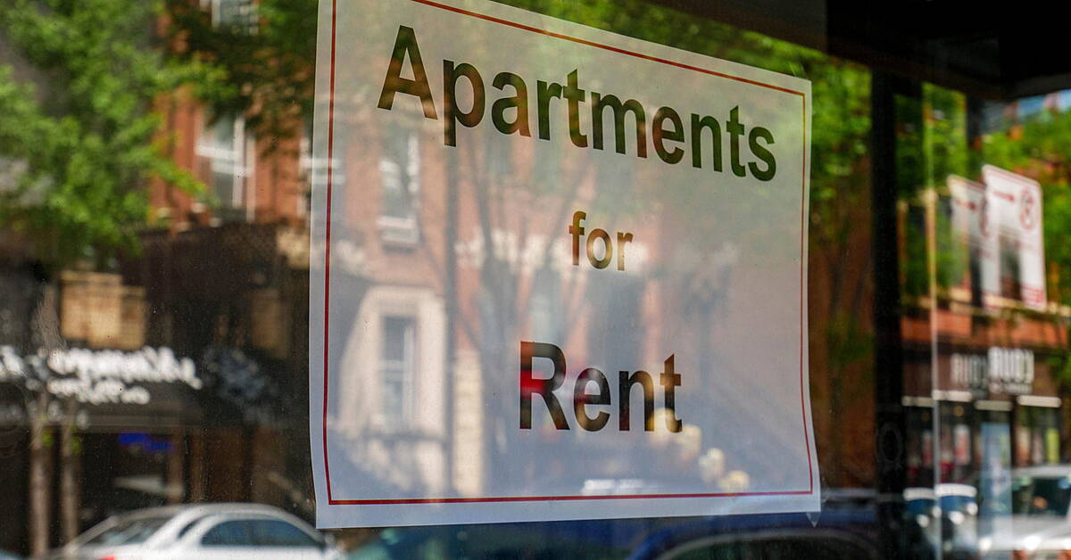 Rental market 'most difficult' it's ever been: '87 applications in 10 seconds' - Vimarsana News