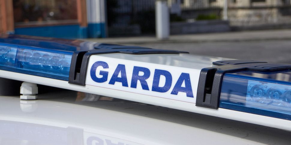 Assault in Kildare leaves two...