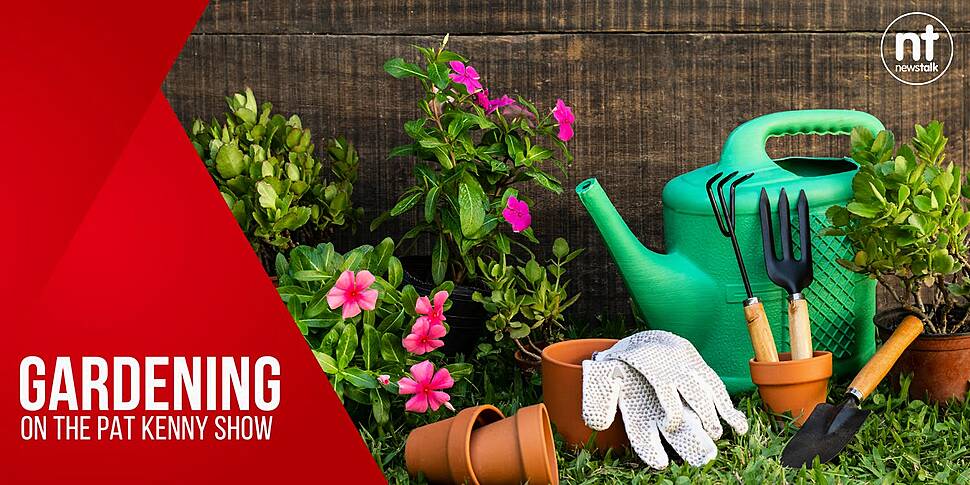 Gardening: Planting hanging ba...