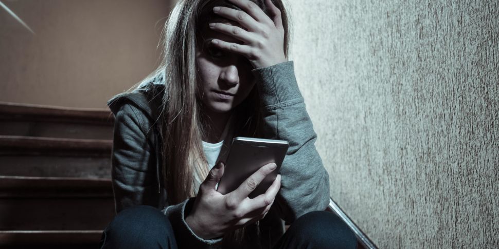 Cyberbullying 'should be in sc...