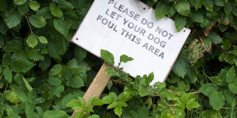 Dog fouling offenders could be...