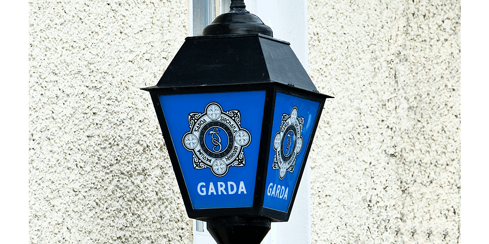 Do Gardai need special trainin...