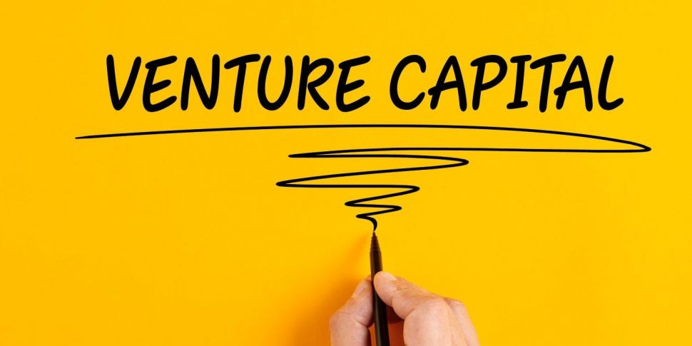 Slowdown in venture capital in...