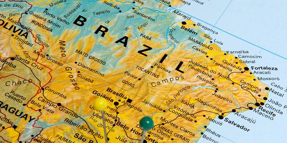 Brazil adds millions of cattle...