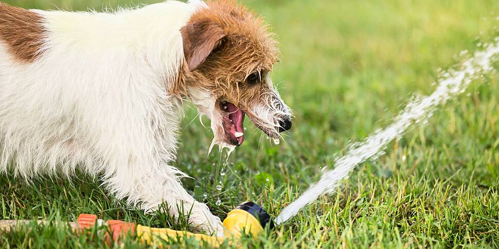 Irish Water monitoring supplie...