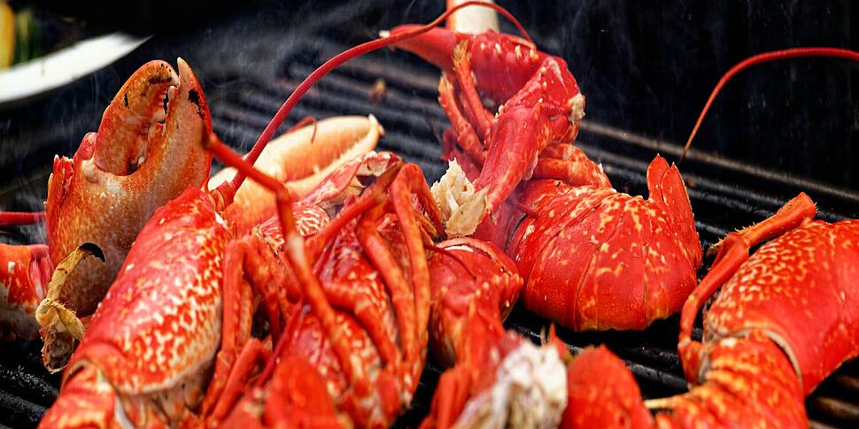 Look Ahead to Dalkey Lobster F...