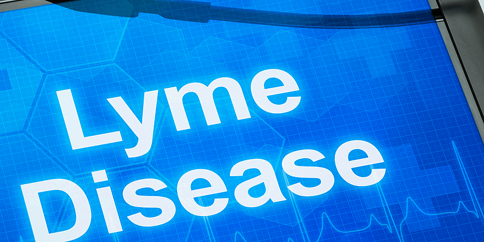 Lyme disease is on the rise